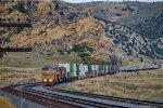 UP 6831 leads a westbound stack train down Echo Canyon